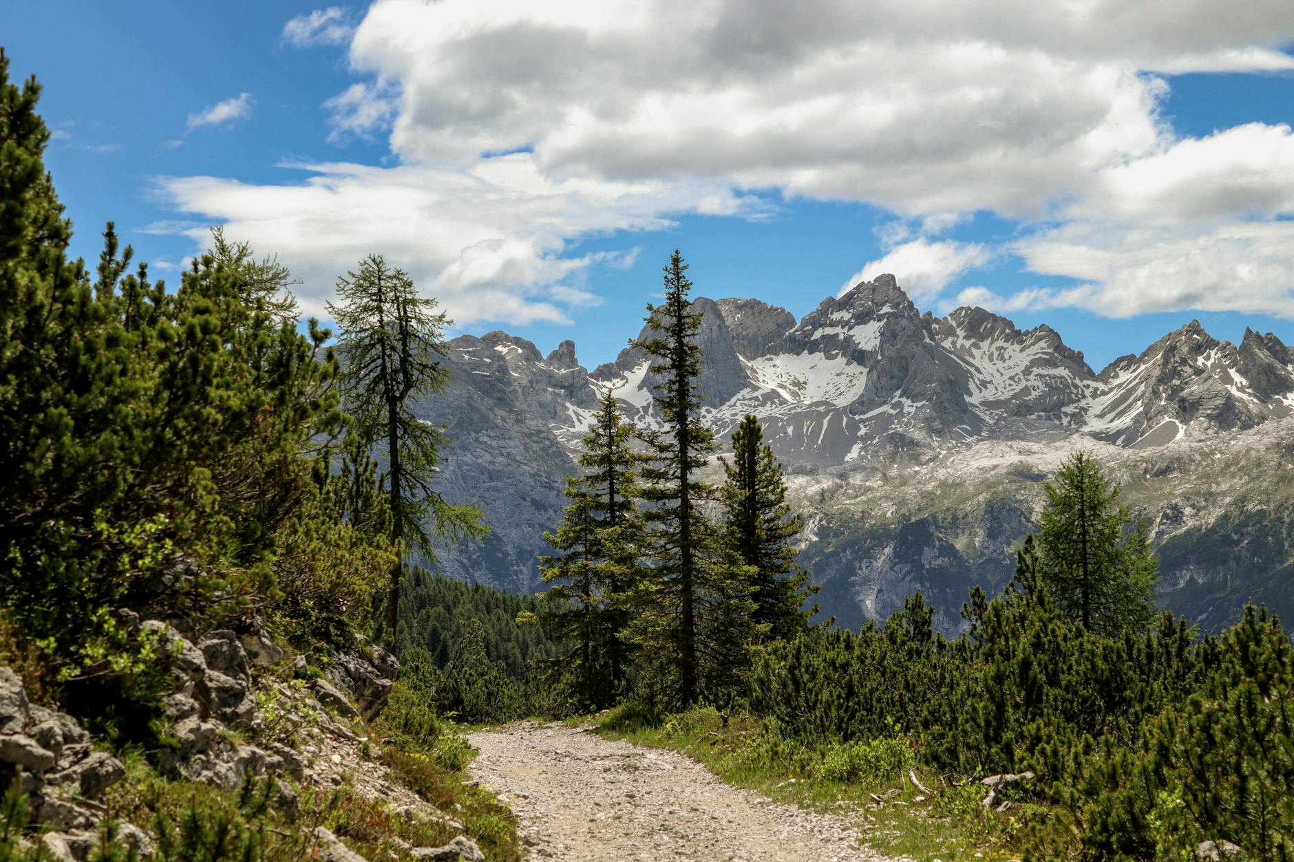 scenic mountain trail in the alps with clear sky