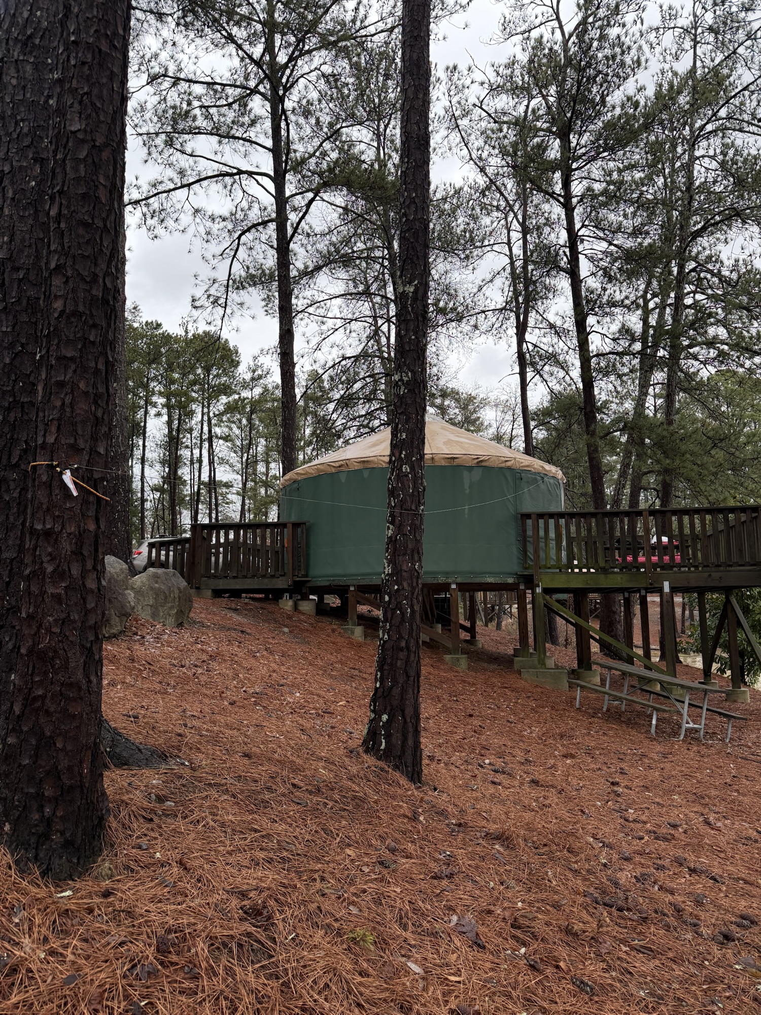 EFHW at yurt Stone Mountain.
